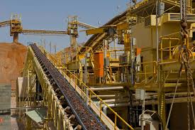 Due Diligence (Mining Site and Processing Plant)